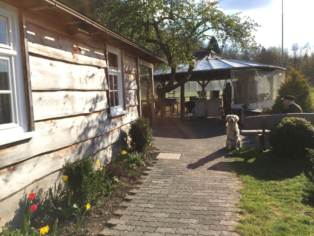 Gaestehaus Schwarzenauer Muehle Bad Berleburg Esterno foto